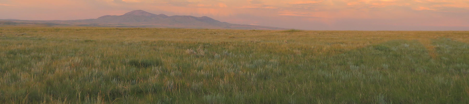 Alberta Prairie Conservation Landscape